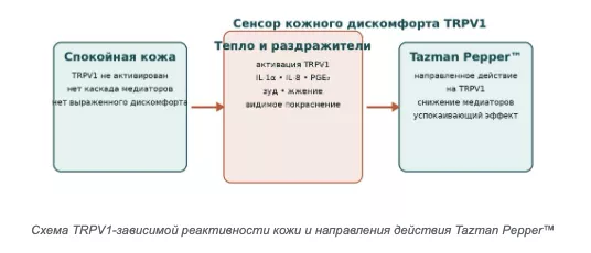 Снимок экрана 2026-08-05 в 20.14.44.png Снимок экрана 2026-08-05 в 20.14.44.png