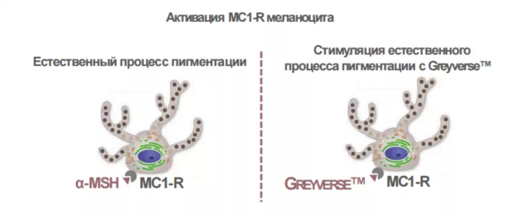 Снимок экрана 2026-07-31 в 19.26.30.png Снимок экрана 2026-07-31 в 19.26.30.png