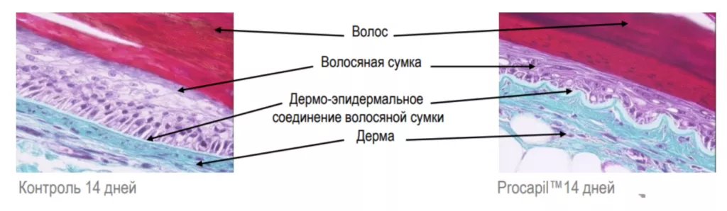 Снимок экрана 2026-02-26 в 21.30.14.png