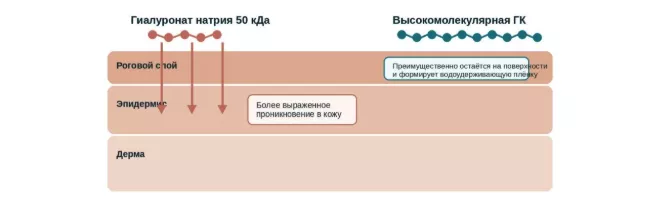 Снимок экрана 2026-08-25 в 20.10.41.png