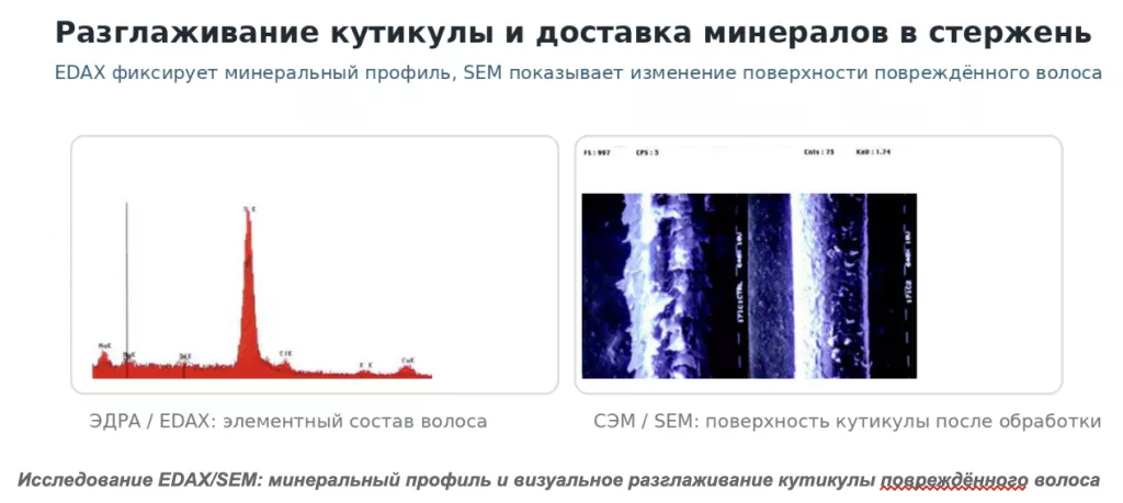 Снимок экрана 2026-07-31 в 20.28.06.png Снимок экрана 2026-07-31 в 20.28.06.png