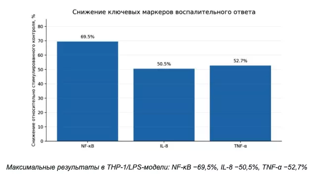 Снимок экрана 2026-08-24 в 20.54.47.png