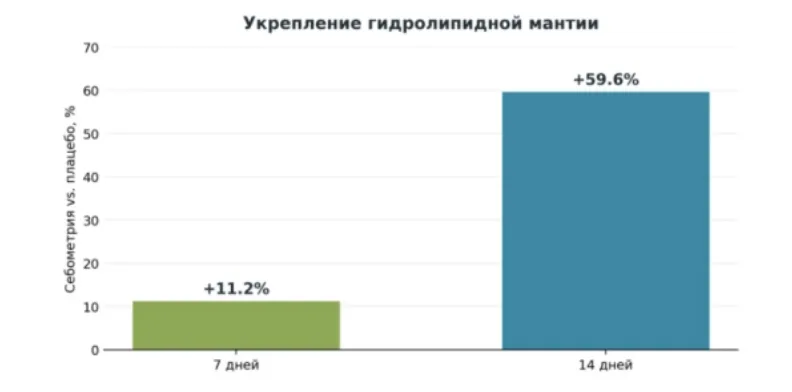Снимок экрана 2026-10-05 в 18.04.11.png