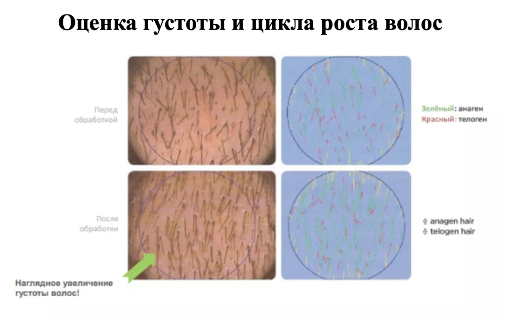 Снимок экрана 2026-02-26 в 21.20.23.png