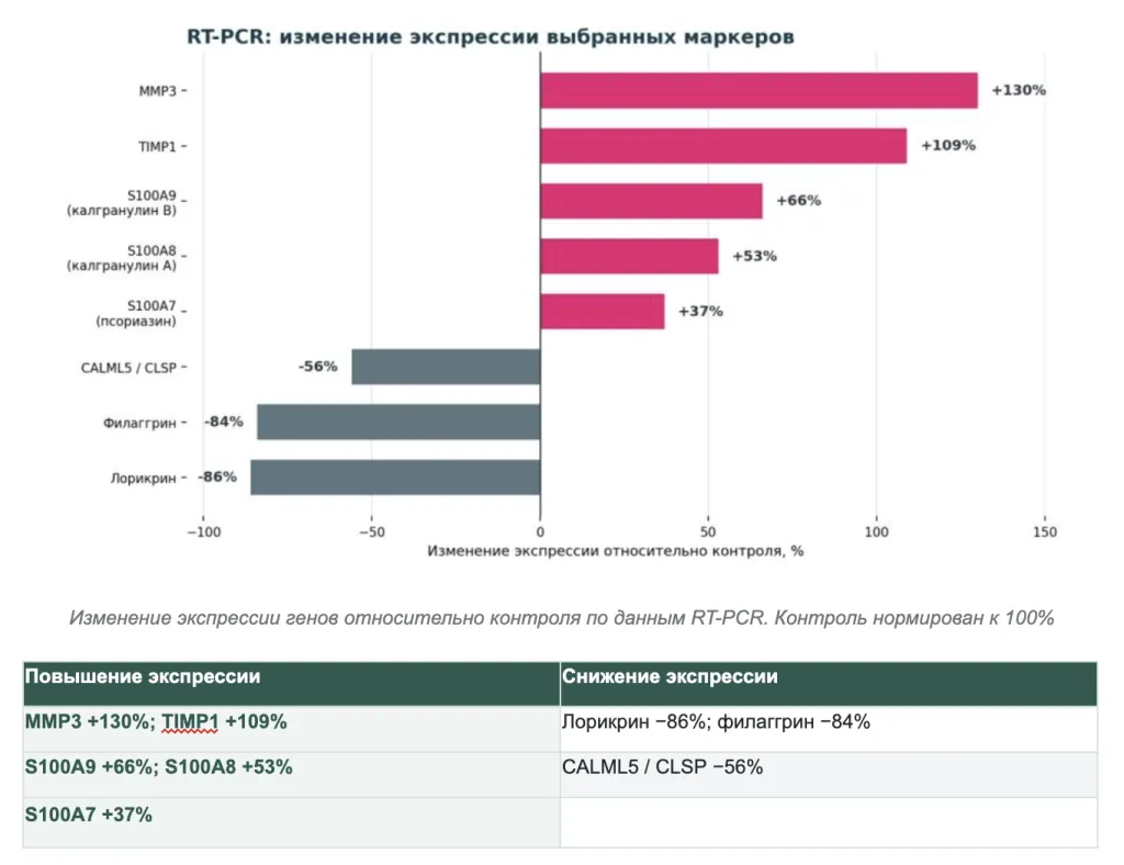 Снимок экрана 2026-09-25 в 21.08.05.png