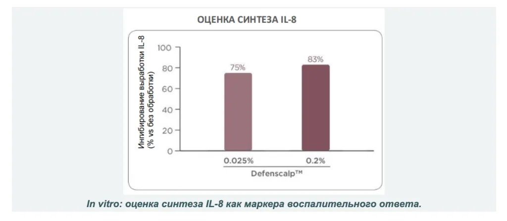 Снимок экрана 2026-10-06 в 17.54.00.png